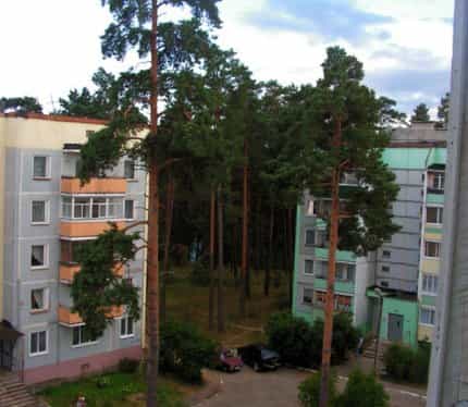 Беларусь, Витебская область, Лепельский район, Каменский сельсовет, деревня Боровка 2, 18