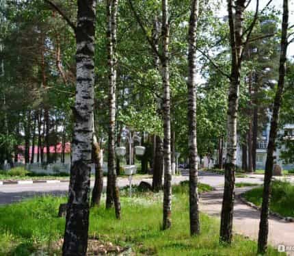 Беларусь, Витебская область, Лепельский район, Каменский сельсовет, деревня Боровка 2, 18, фото 5