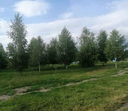 Беларусь, Брестская область, Берёза, улица Северный Городок, 65, фото 8