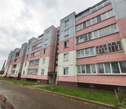 Беларусь, Витебская область, Дубровно, улица Крупской, 13, фото 15
