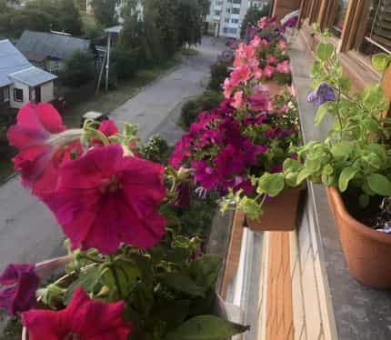 Беларусь, Витебская область, Орша, улица Виссариона Белинского, 8, фото 11