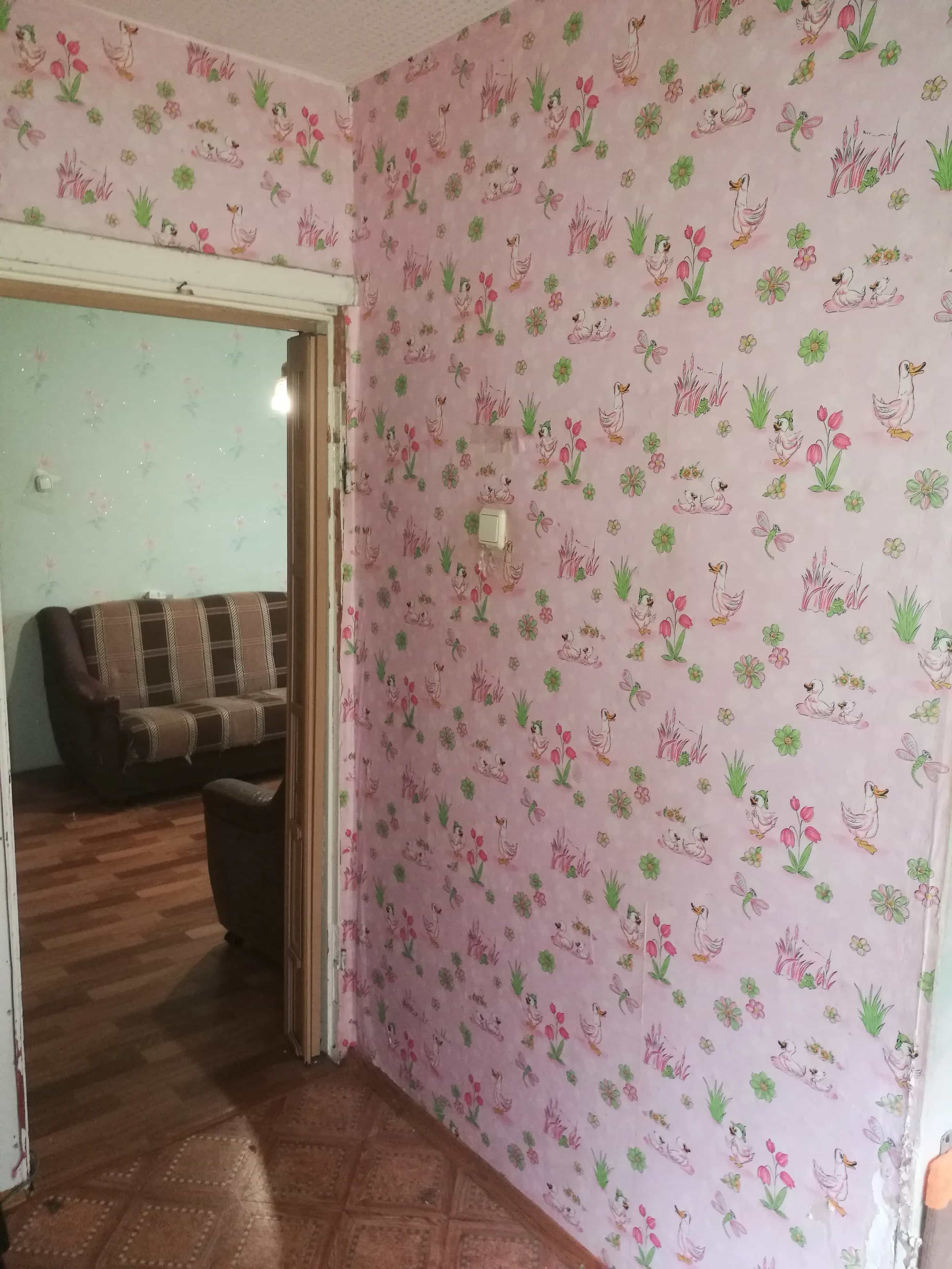 Беларусь, Витебская область, Полоцк, микрорайон Боровуха-3, улица Вологина, 262, фото 12