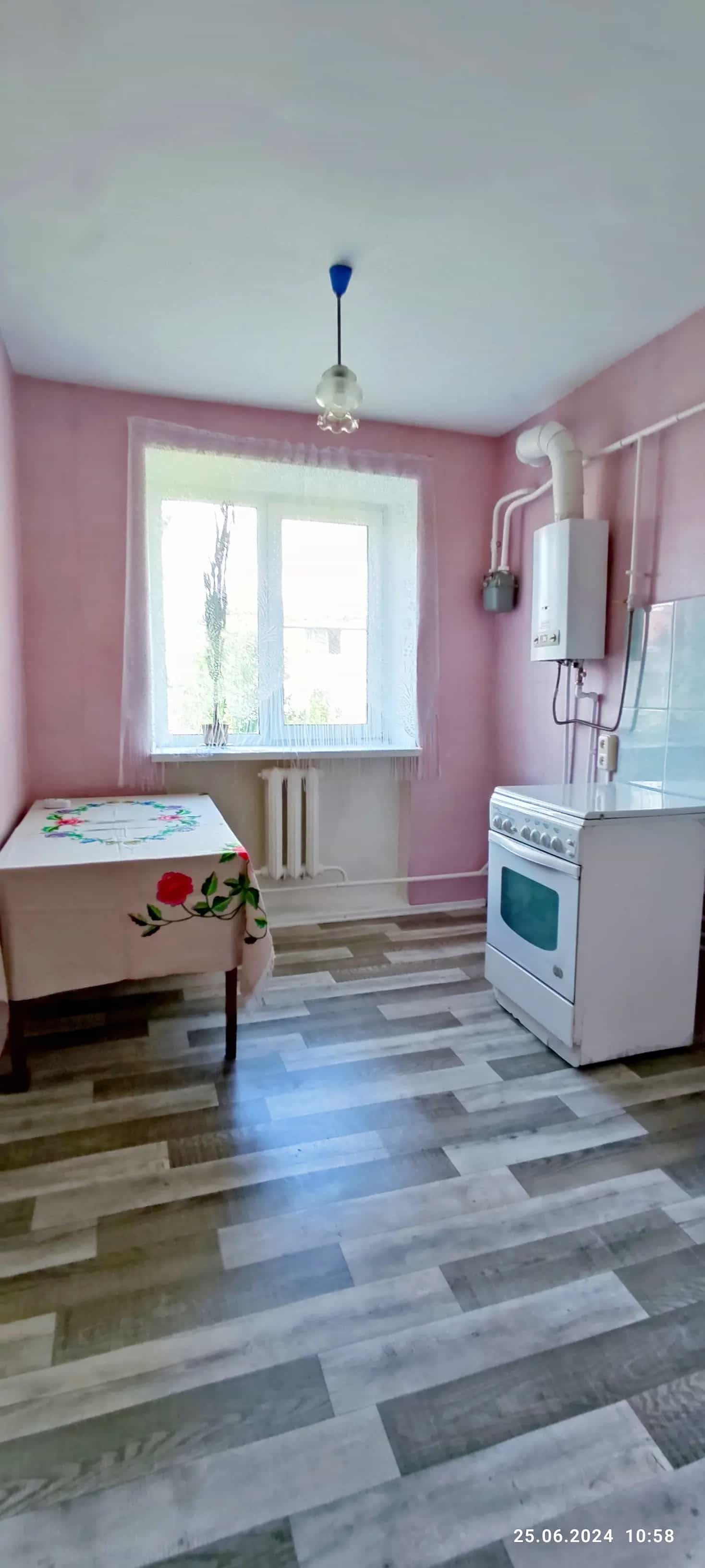 Беларусь, Гомельская область, Добрушский район, городской посёлок Тереховка, Советский переулок, 6, фото 7