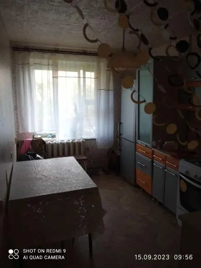 Беларусь, Могилёвская область, Мстиславский район, агрогородок Копачи, Советская улица, 42, фото 3