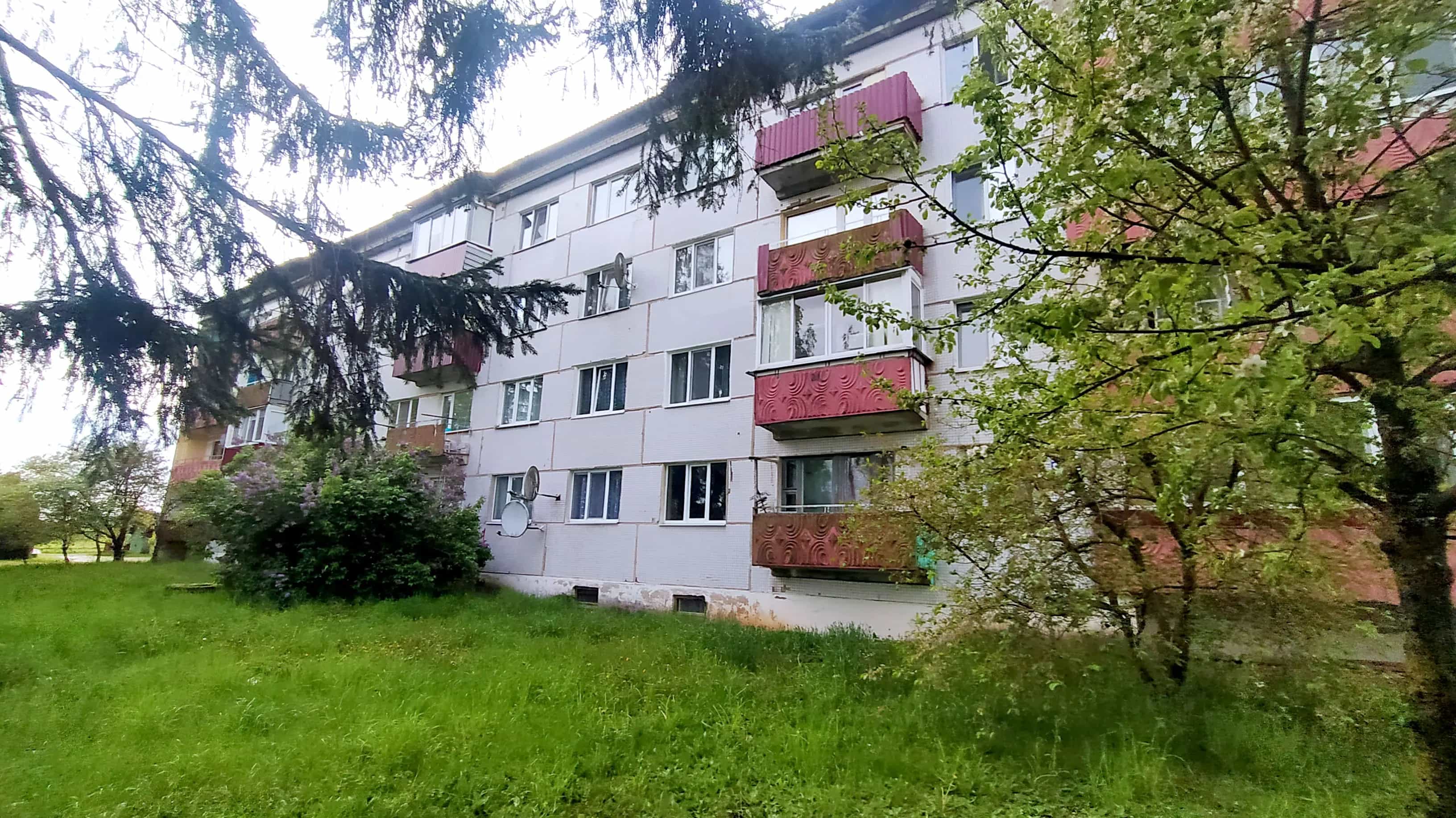 Беларусь, Витебская область, Докшицы, улица Карла Маркса, 38, фото 18