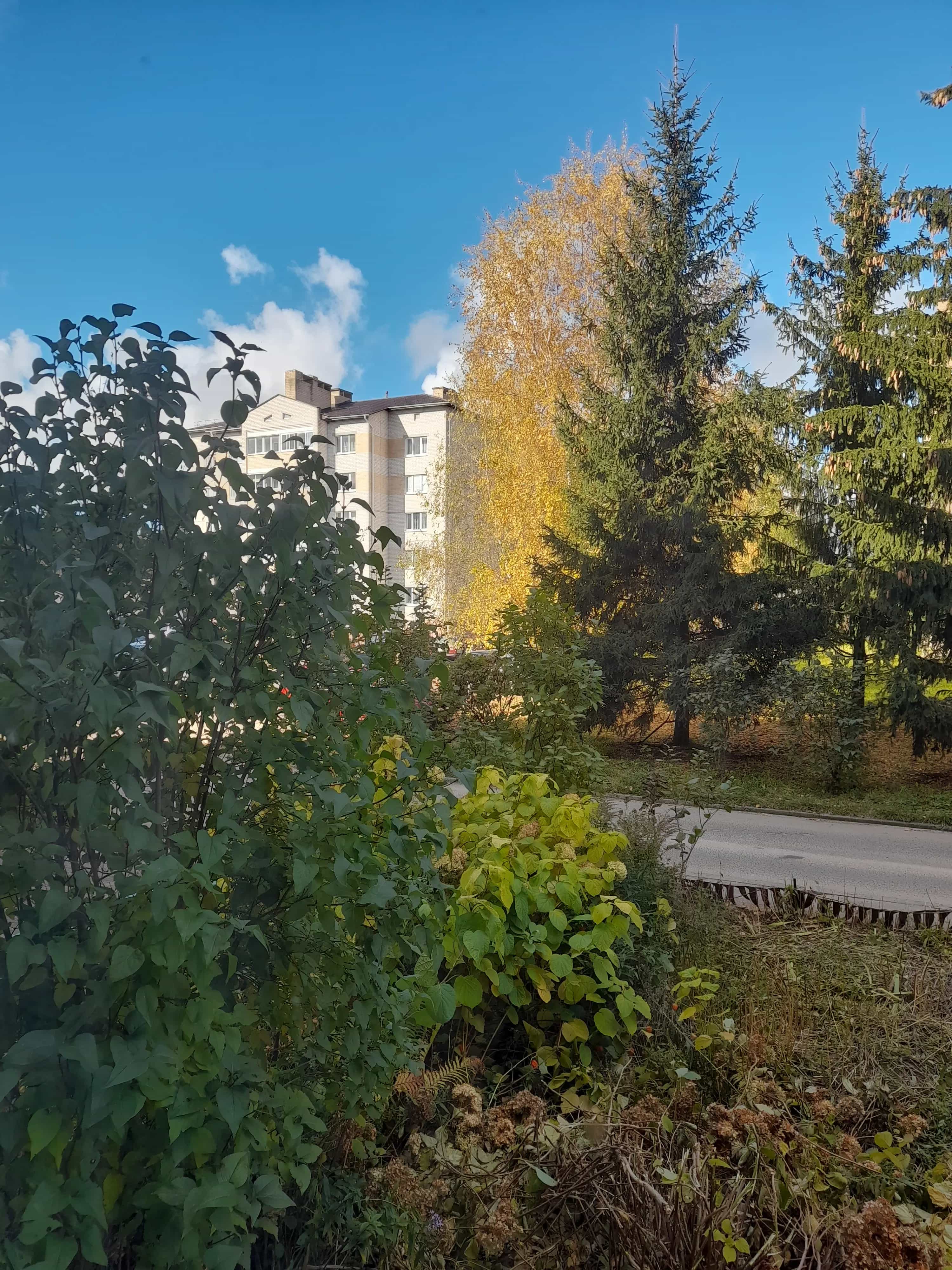 Беларусь, Гродненская область, Лида, улица Александра Невского, 40Б, фото 12