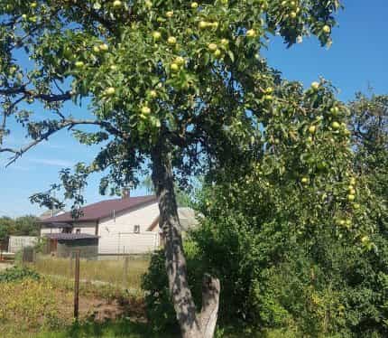 Беларусь, Гродненская область, Слоним, улица Гагарина, 78, фото 14