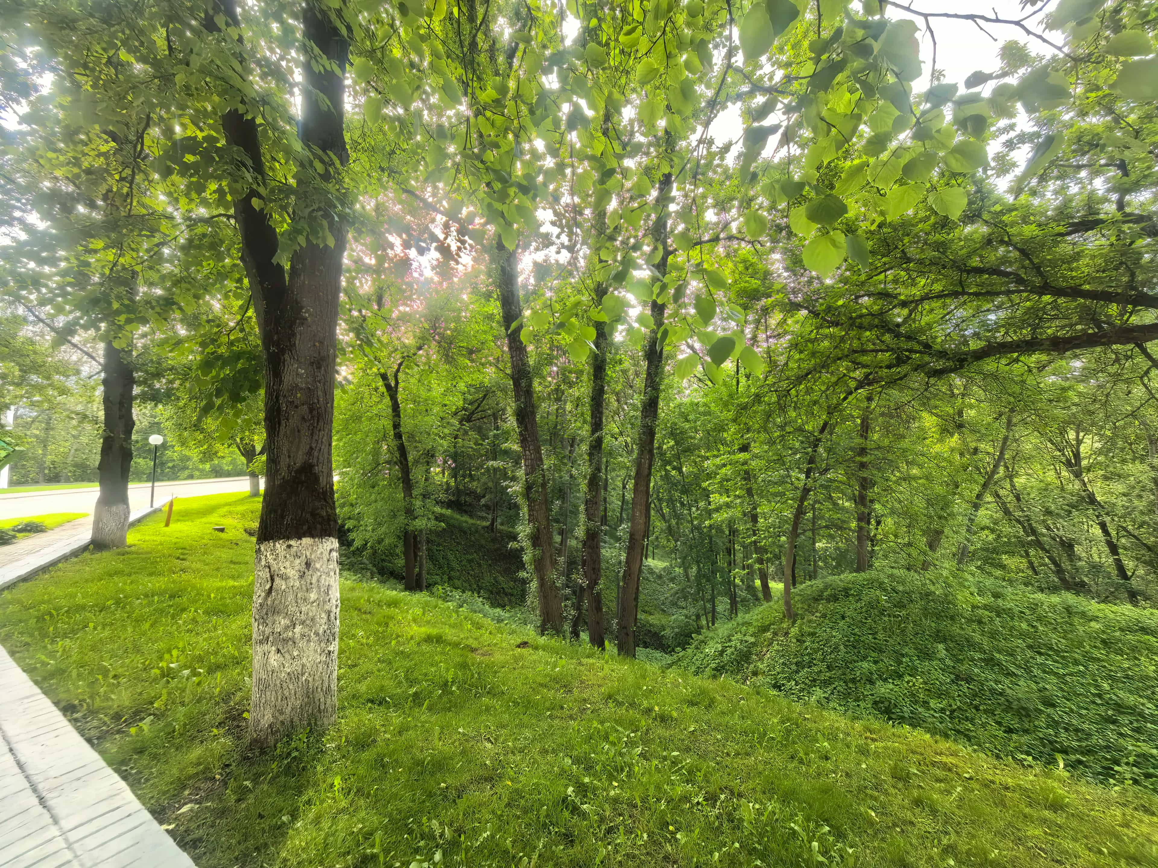 Беларусь, Витебск, улица Правды, 26Б, фото 28