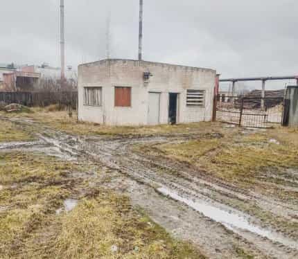 Беларусь, Брестская область, Каменецкий район, Высокое, улица Советских Пограничников, 3Б, фото 3