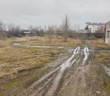 Беларусь, Брестская область, Каменецкий район, Высокое, улица Советских Пограничников, 3Б, фото 5