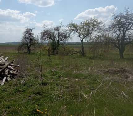 Беларусь, Гродненская область, Островецкий район, Гервятский сельсовет, деревня Новые Якентаны, 9