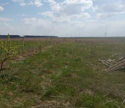 Беларусь, Гродненская область, Островецкий район, Гервятский сельсовет, деревня Новые Якентаны, 9, фото 3