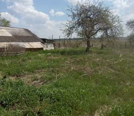 Беларусь, Гродненская область, Островецкий район, Гервятский сельсовет, деревня Новые Якентаны, 9, фото 4