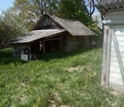 Беларусь, Гродненская область, Островецкий район, Гервятский сельсовет, деревня Новые Якентаны, 9, фото 5