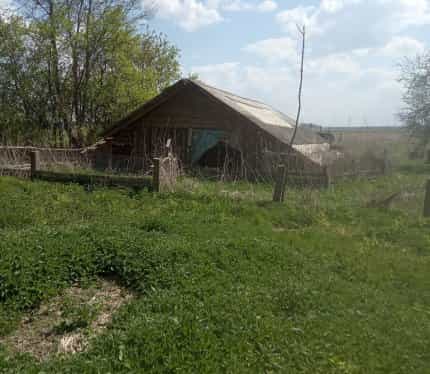 Беларусь, Гродненская область, Островецкий район, Гервятский сельсовет, деревня Новые Якентаны, 9, фото 6