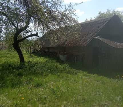 Беларусь, Гродненская область, Островецкий район, Гервятский сельсовет, деревня Новые Якентаны, 9, фото 7