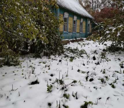 Беларусь, Витебская область, Городокский район, Стодолищенский сельсовет, деревня Новый Болецк, Шоссейная улица, 27