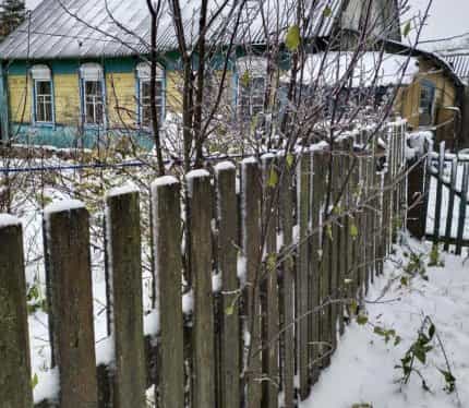 Беларусь, Витебская область, Городокский район, Стодолищенский сельсовет, деревня Новый Болецк, Шоссейная улица, 27, фото 3