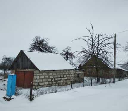 Беларусь, Минская область, Слуцкий район, Знаменский сельсовет, агрогородок Подлесье, Минская улица, 19, фото 3