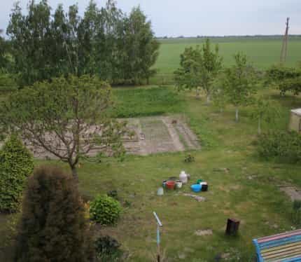 Беларусь, Брестская область, Берёзовский район, агрогородок Первомайская, улица Друщица, 26, фото 8