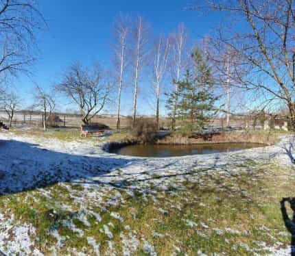 Беларусь, Брестская область, Берёзовский район, агрогородок Первомайская, улица Друщица, 26, фото 10