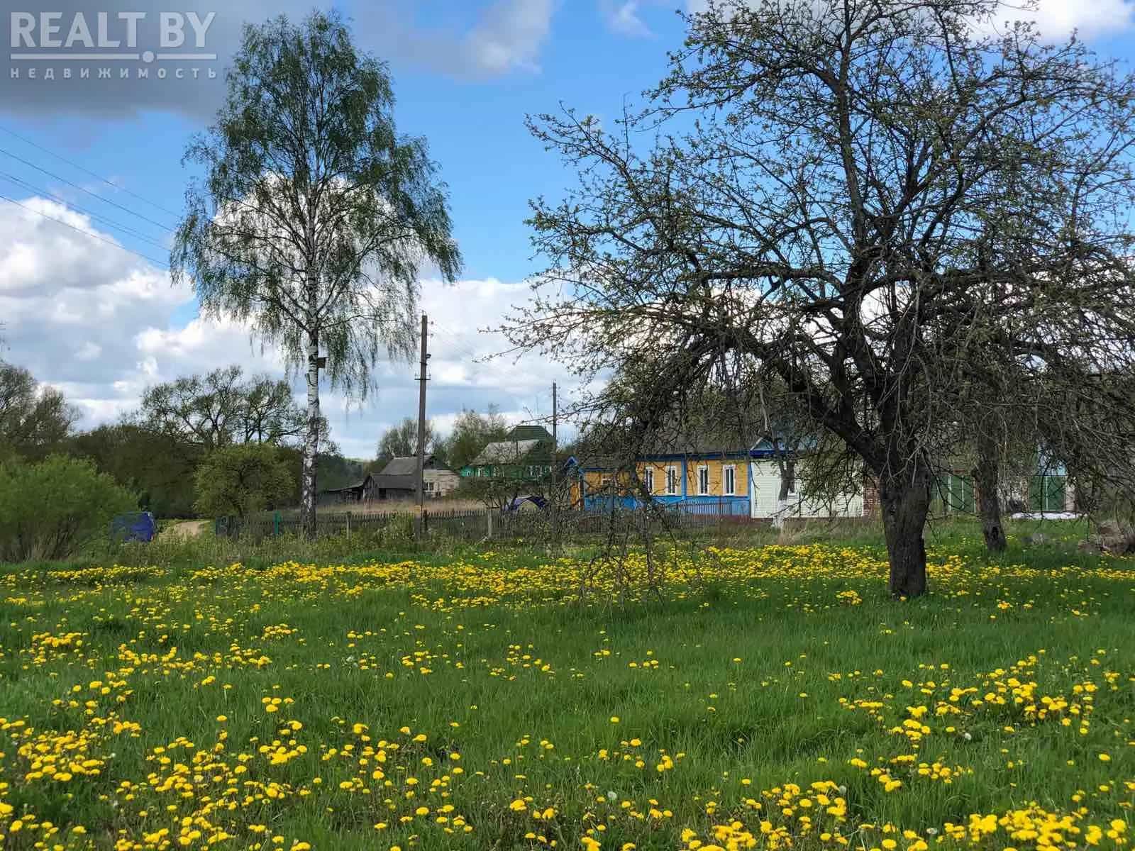 Беларусь, Могилёвская область, Мстиславль, Заречная улица, 38, фото 7