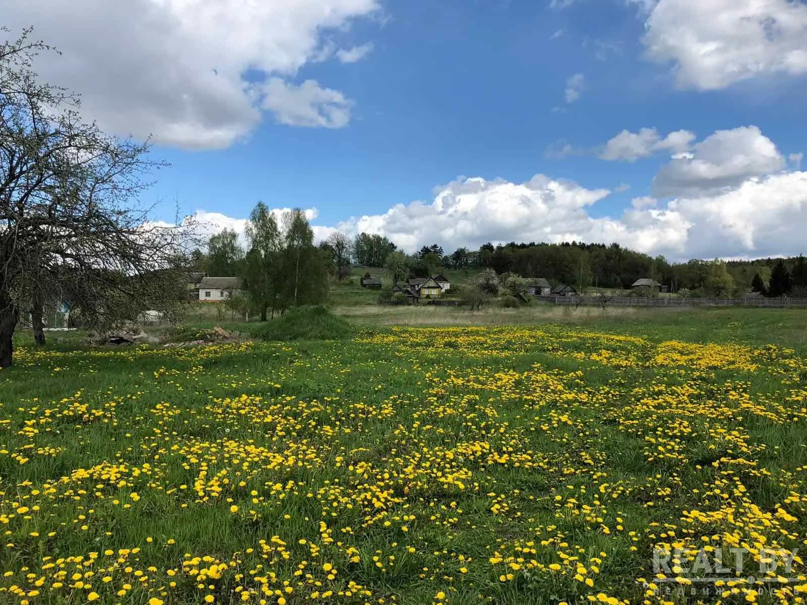 Беларусь, Могилёвская область, Мстиславль, Заречная улица, 38, фото 8