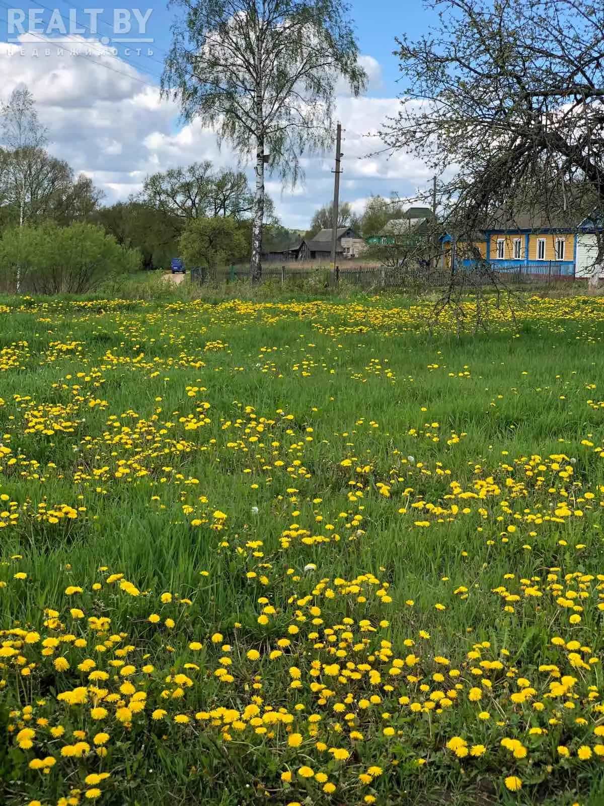Беларусь, Могилёвская область, Мстиславль, Заречная улица, 38, фото 9