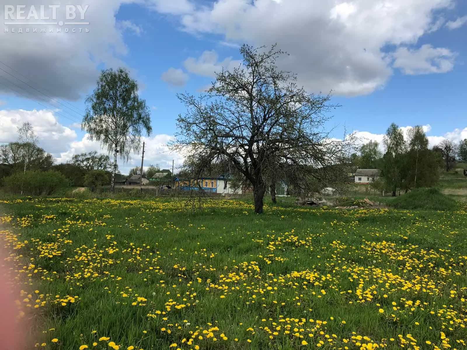 Беларусь, Могилёвская область, Мстиславль, Заречная улица, 38, фото 10