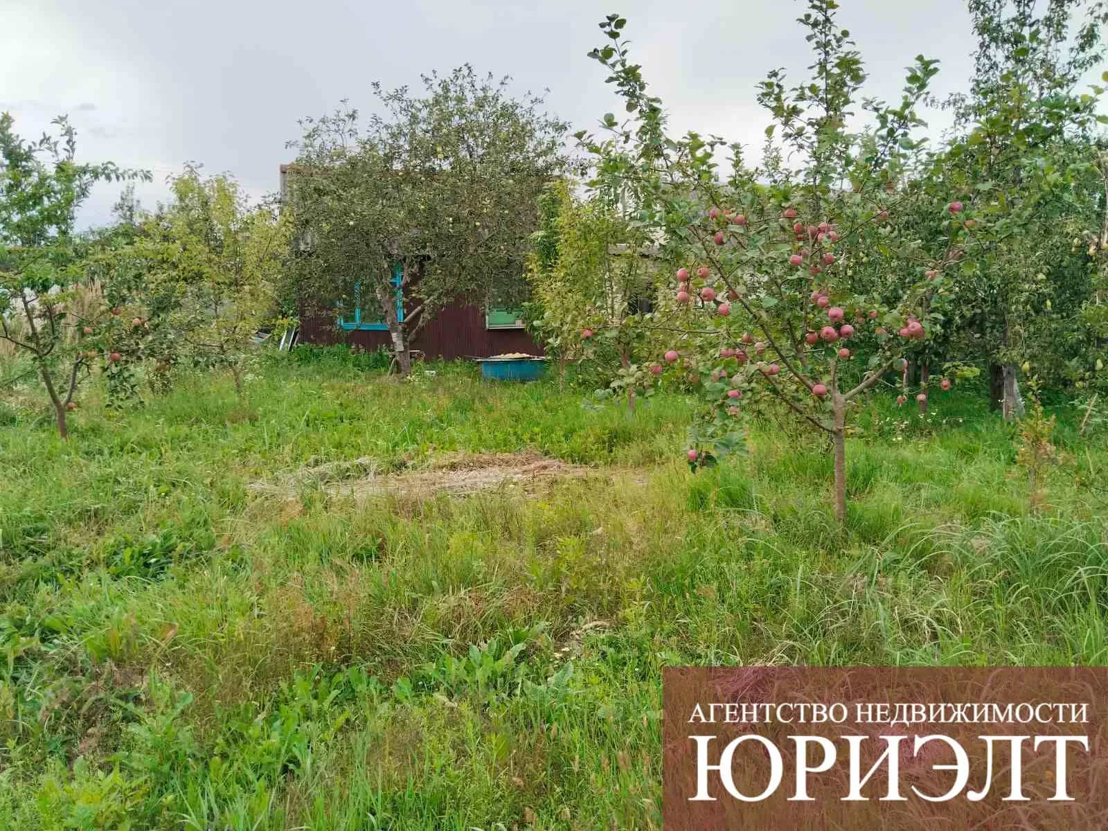 Беларусь, Брестская область, Пинский район, Мерчицкий сельсовет, СТ Ивушка, 120