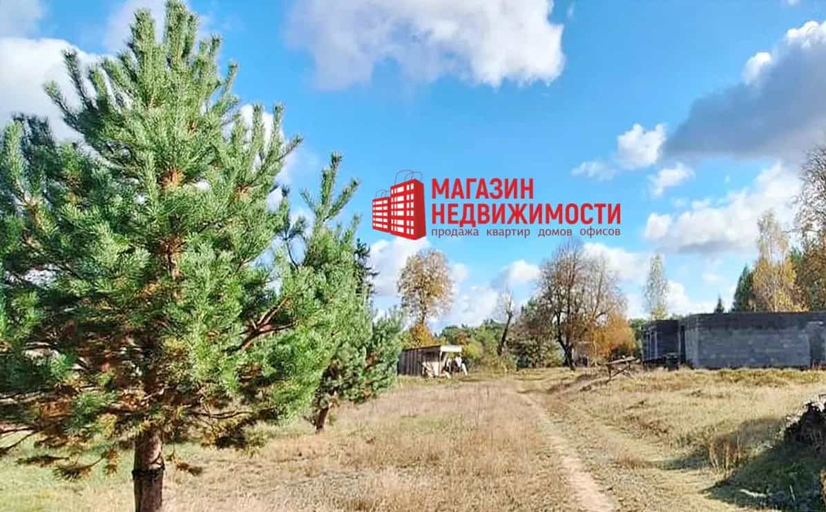 Беларусь, Гродненская область, Мостовский сельсовет, деревня Рыбаки, 9А, фото 5