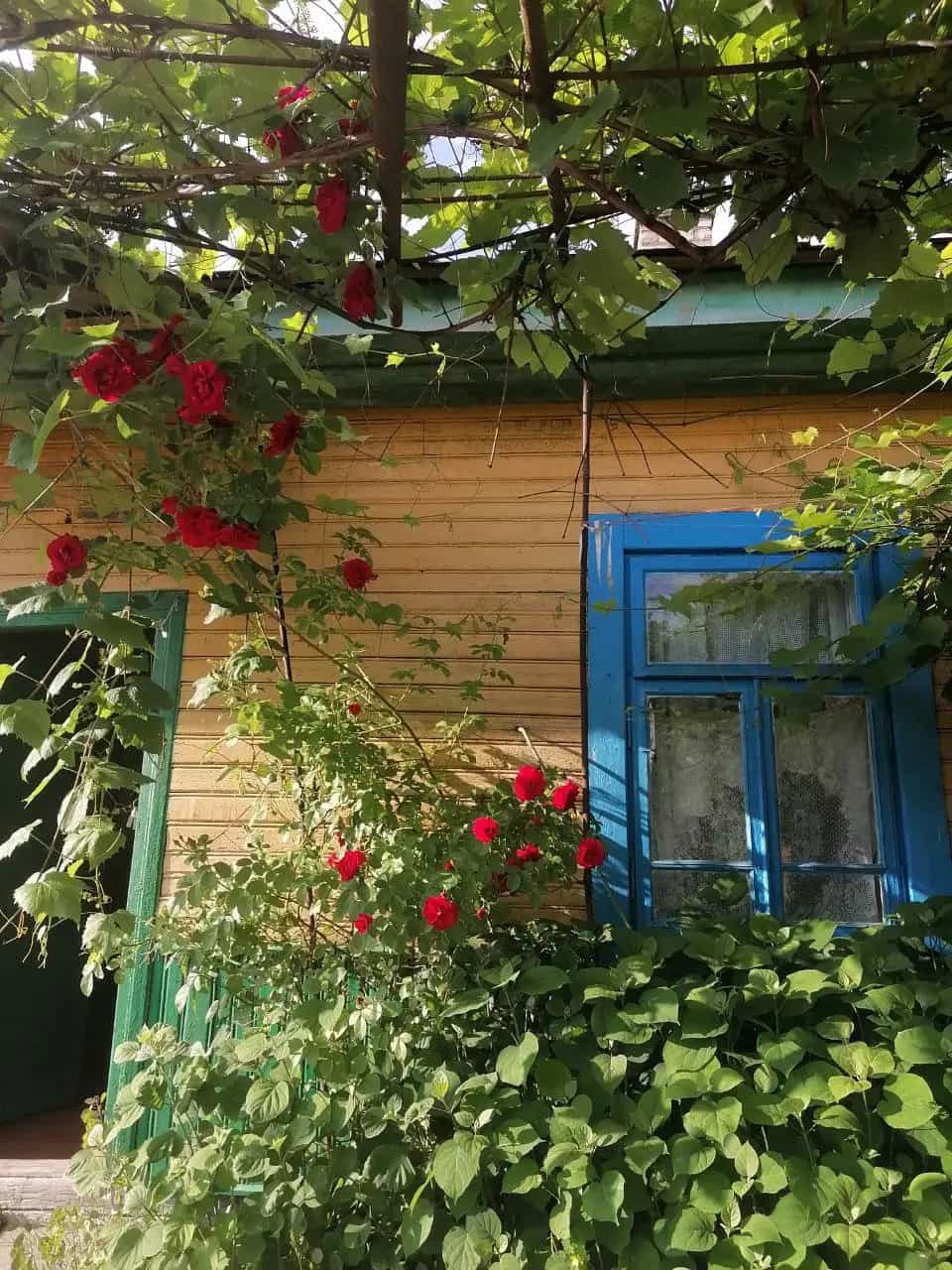 Беларусь, Брестская область, Дрогичинский сельсовет, деревня Огдемер, Брестская улица, 82, фото 2