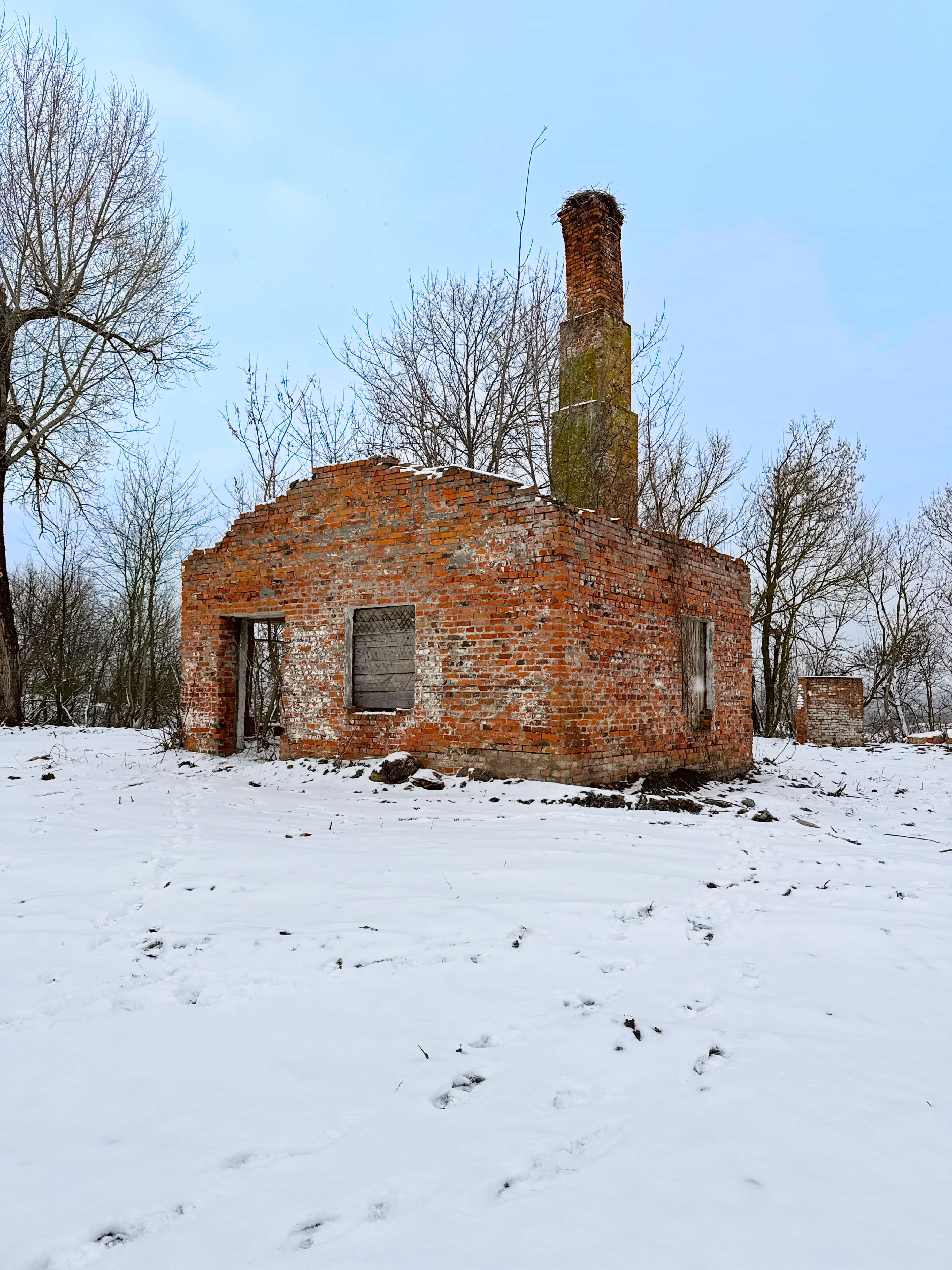 Беларусь, Гомельская область, Речицкий район, Холмечский сельсовет, агрогородок Холмеч, Днепровская улица, 6, фото 20