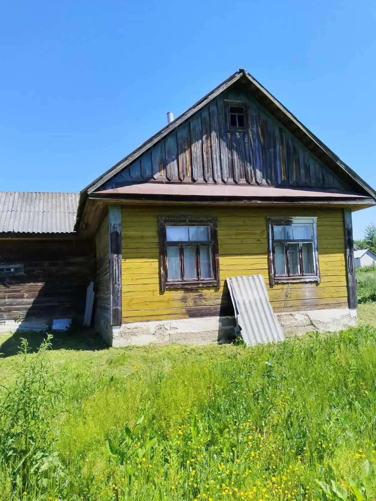 Беларусь, Гродненская область, Кореличский район, Красненский сельсовет, деревня Бушки, 26