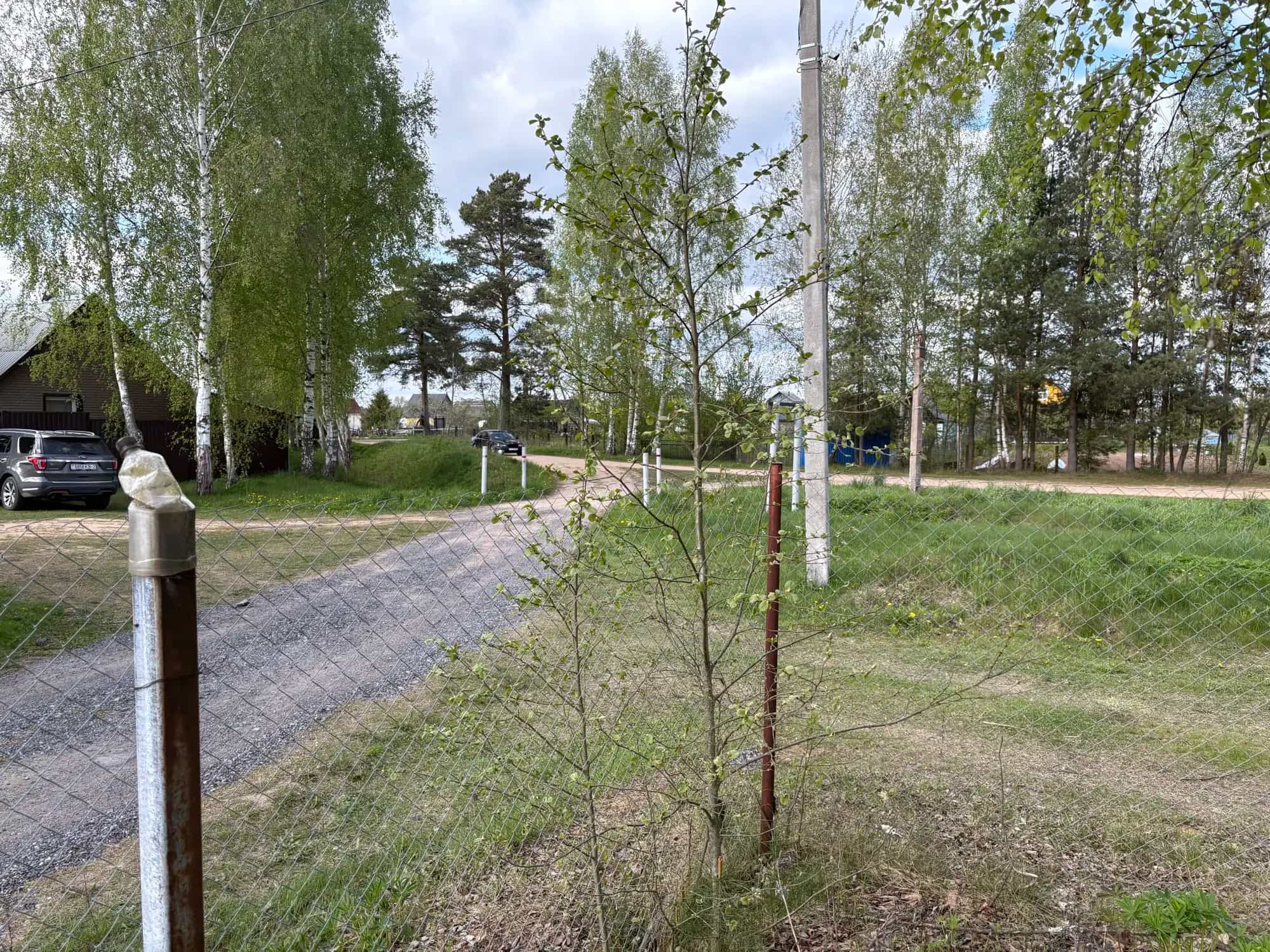 Беларусь, Витебская область, Полоцкий район, Гомельский сельсовет, СТ Журавинка, 141, фото 3