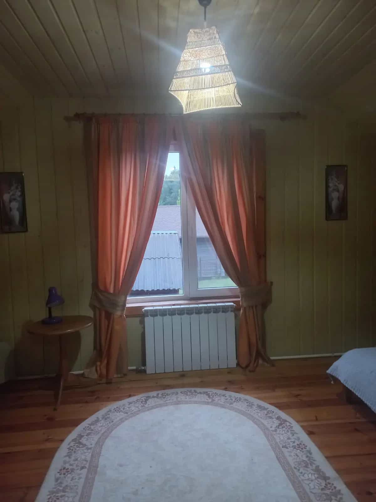 Беларусь, Витебская область, Браславский район, Плюсский сельсовет, деревня Леошки, 28, фото 9