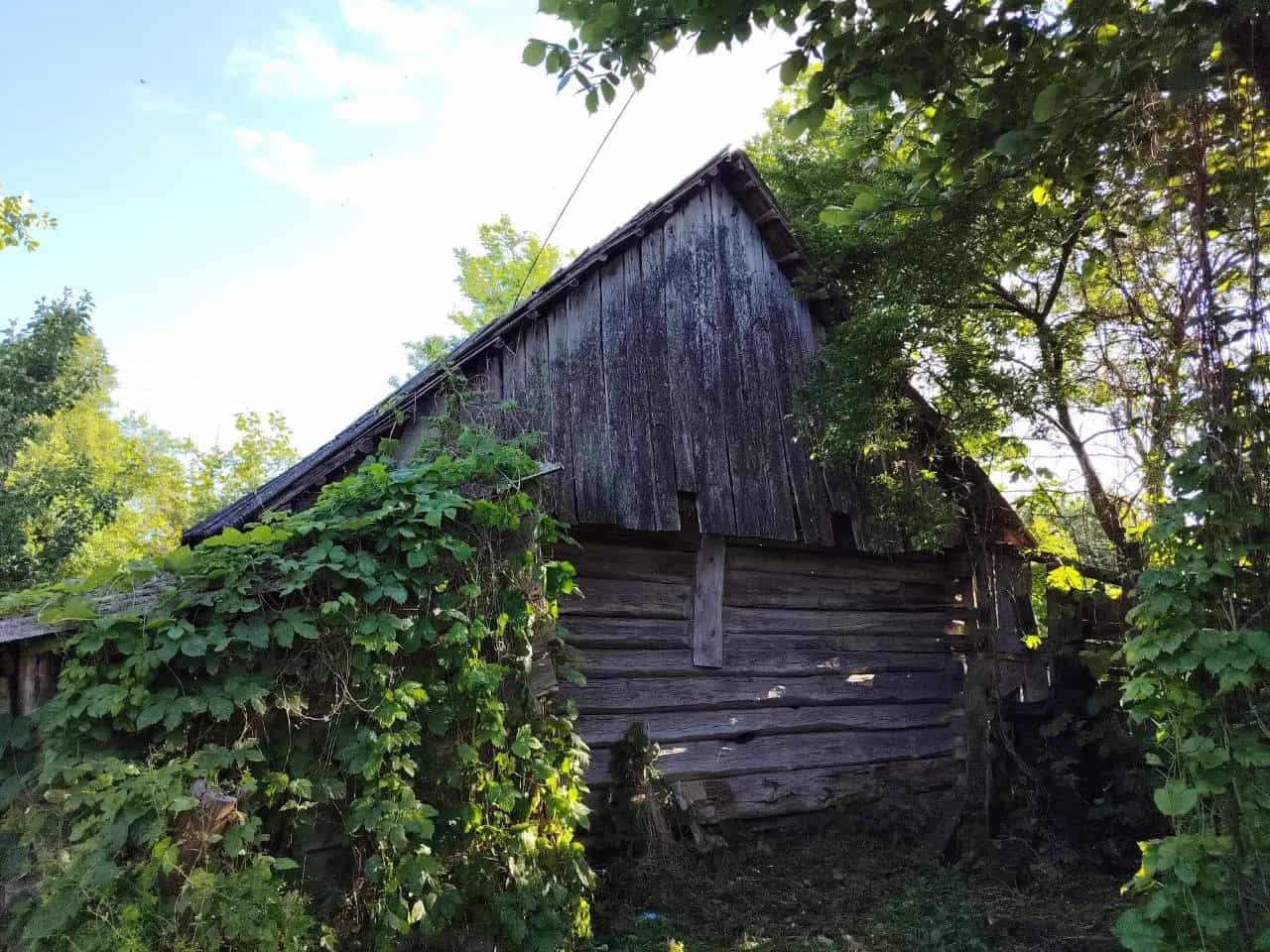 Беларусь, Брестская область, Каменецкий район, Речицкий сельсовет, деревня Чемери 1, Вишнёвая улица, 27, фото 15
