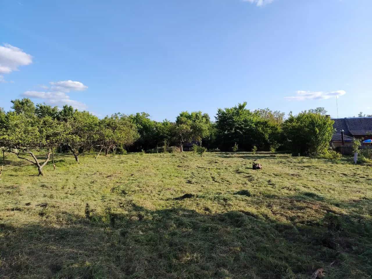 Беларусь, Брестская область, Каменецкий район, Речицкий сельсовет, деревня Чемери 1, Вишнёвая улица, 27, фото 16