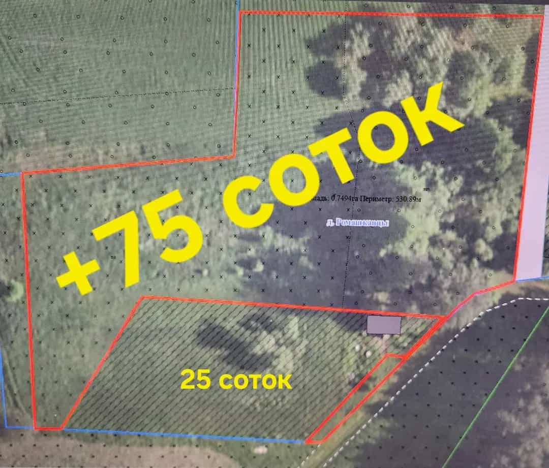 Беларусь, Гродненская область, Вороновский район, Переганцевский сельсовет, деревня Ромашканцы, 3