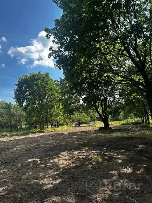 Беларусь, Брестская область, Каменюкский сельсовет, деревня Горошковка 2, 8
