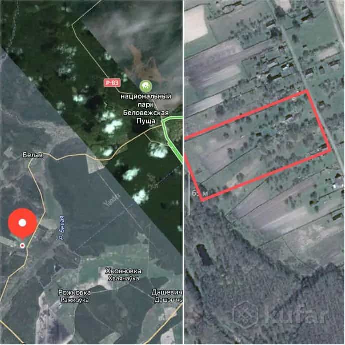 Беларусь, Брестская область, Каменюкский сельсовет, деревня Горошковка 2, 8, фото 20