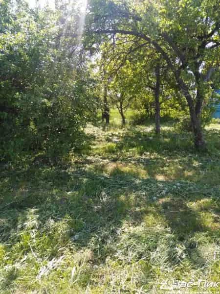 Беларусь, Минский район, Острошицко-Городокский сельсовет, деревня Узборье, 7А, фото 25