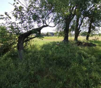 Беларусь, Гомельская область, Ельский район, Валавский сельсовет, агрогородок Валавск, Совхозная улица, 20, фото 17