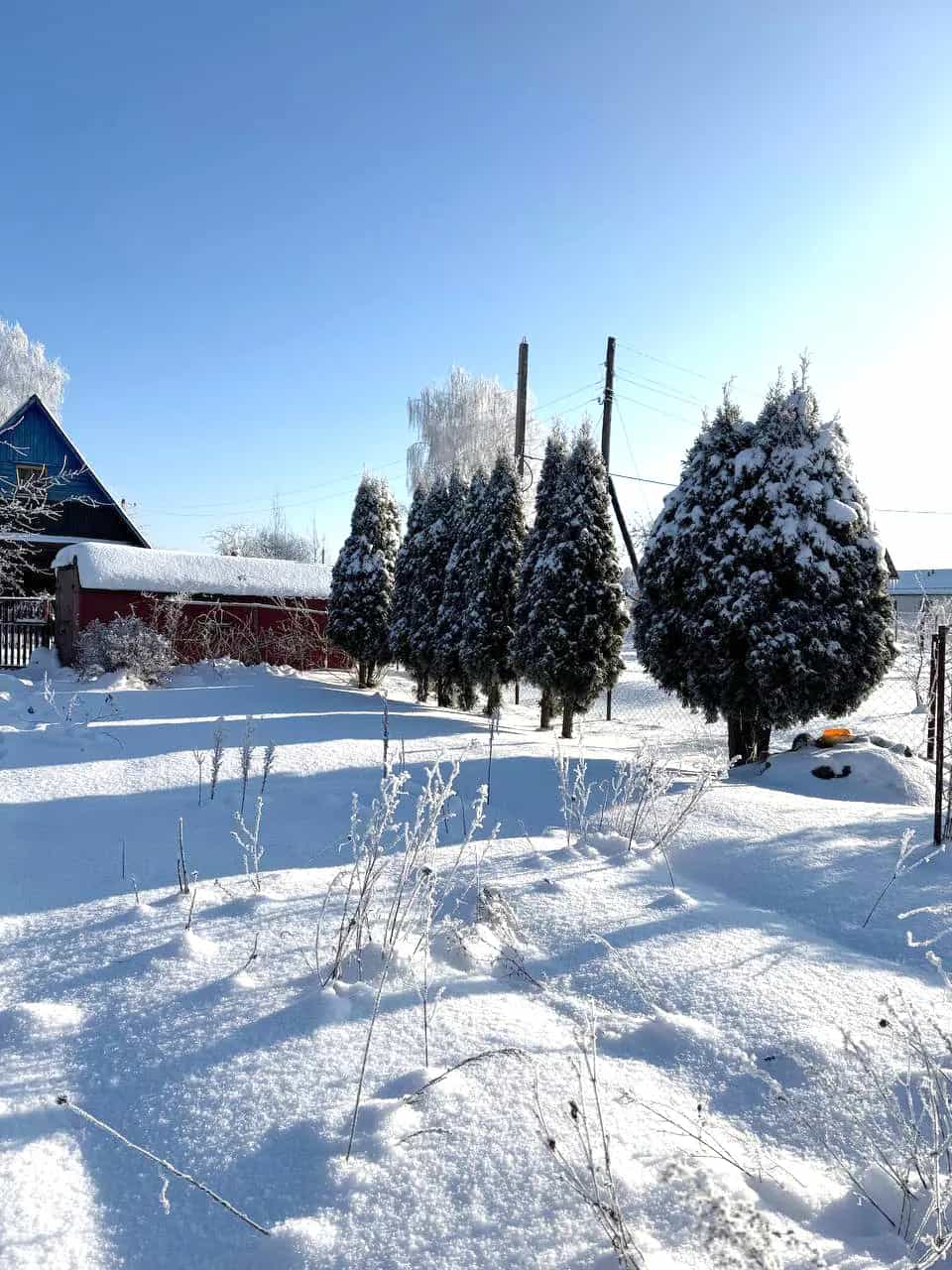 Беларусь, Гродненская область, Лидский район, Дубровенский сельсовет, СТ Мелиоратор, 55, фото 2