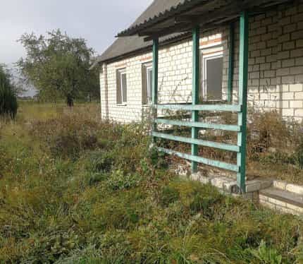 Беларусь, Могилёвская область, Хотимский район, Тростинский сельсовет, деревня Тростино, Садовый переулок, 8, фото 3