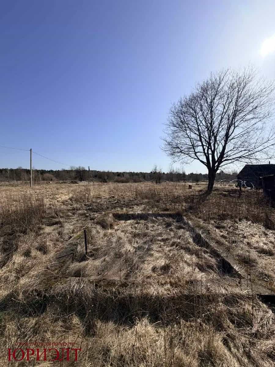 Беларусь, Гродненская область, Ивьевский сельсовет, агрогородок Морино, Центральная улица, 147, фото 4