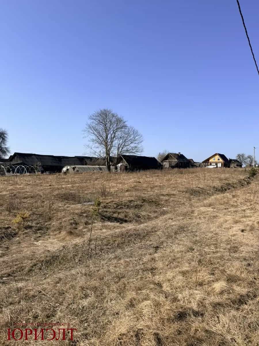Беларусь, Гродненская область, Ивьевский сельсовет, агрогородок Морино, Центральная улица, 147, фото 5