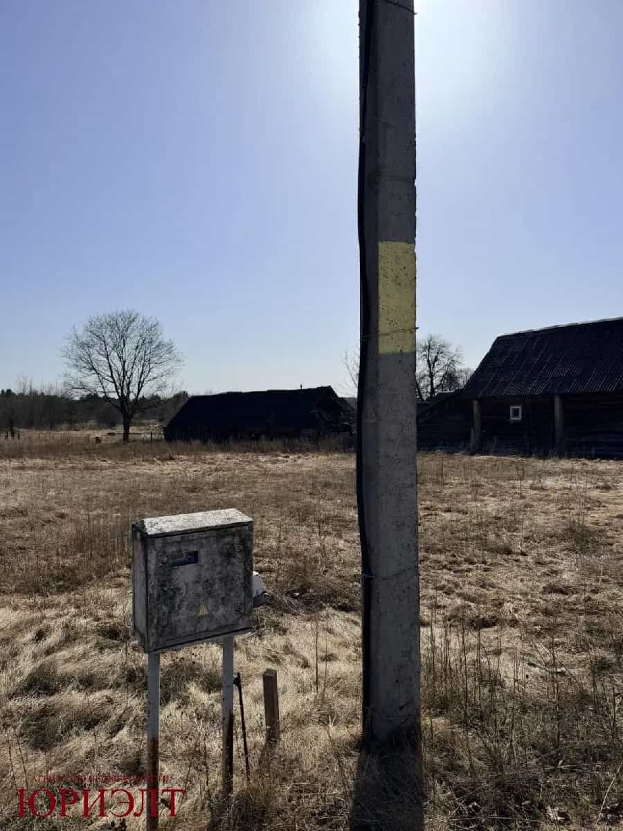 Беларусь, Гродненская область, Ивьевский сельсовет, агрогородок Морино, Центральная улица, 147, фото 7