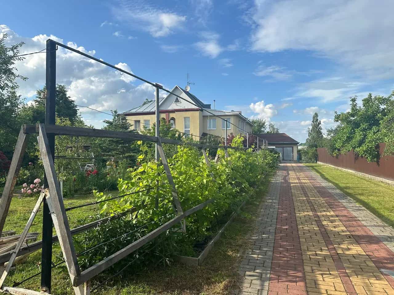 Беларусь, Гомельская область, городской посёлок Лельчицы, Юбилейная улица, 13, фото 4