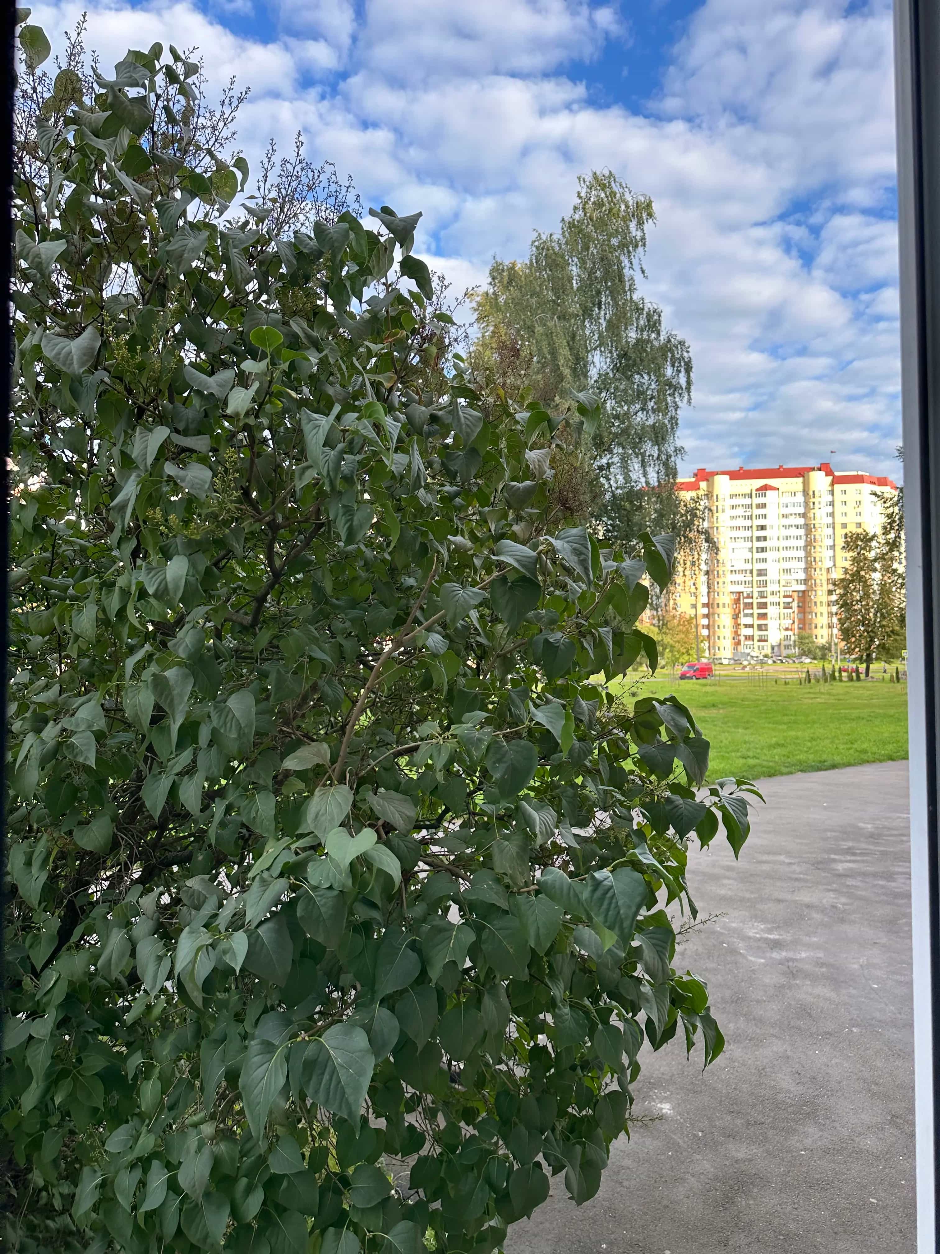Беларусь, Минск, улица Жуковского, 9к1, фото 19